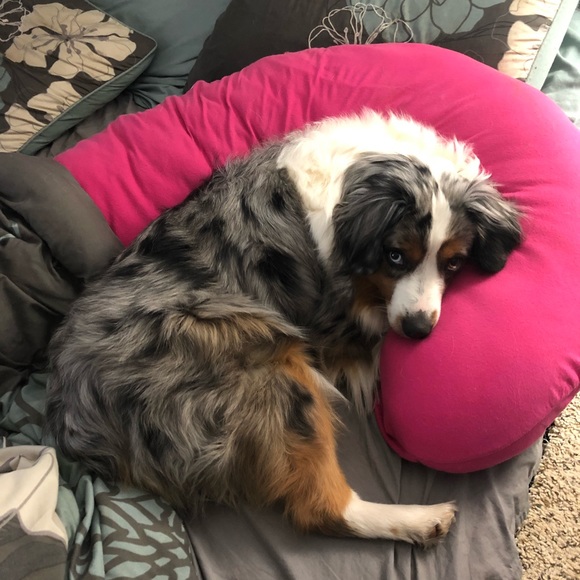 Jessica - Picture 7 of 8